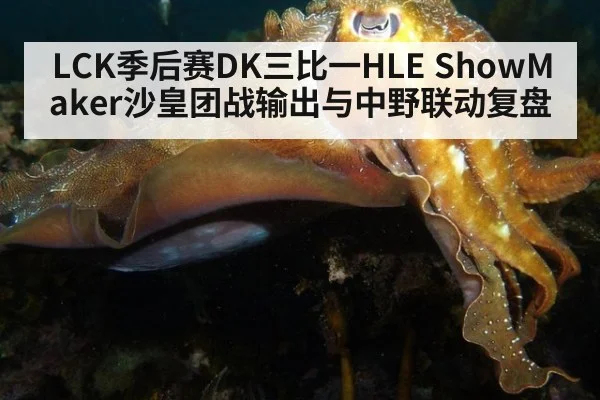 LCK季后赛DK三比一HLE ShowMaker沙皇团战输出与中野联动复盘